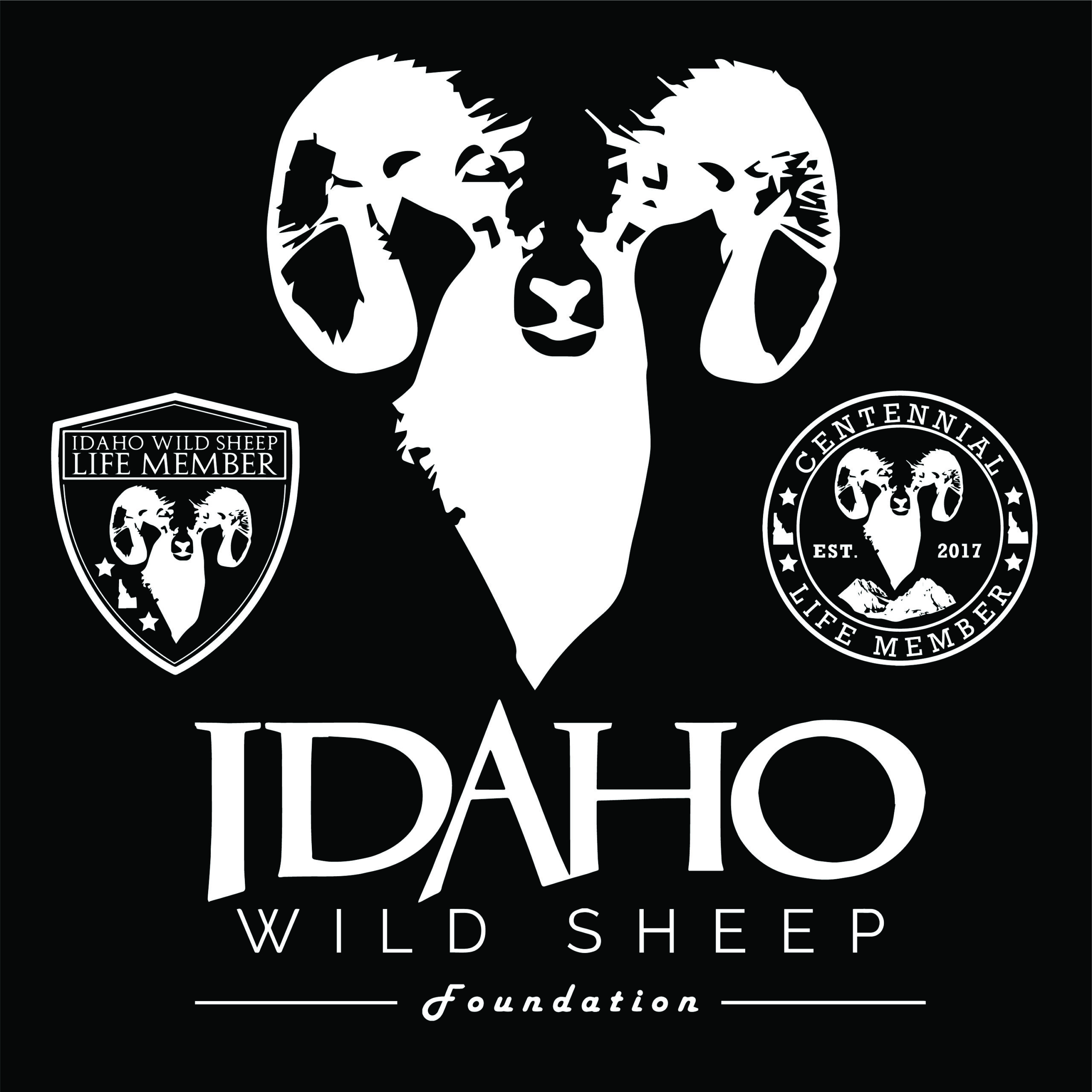 Bighorn sheep - Idaho Wild Sheep Foundation.