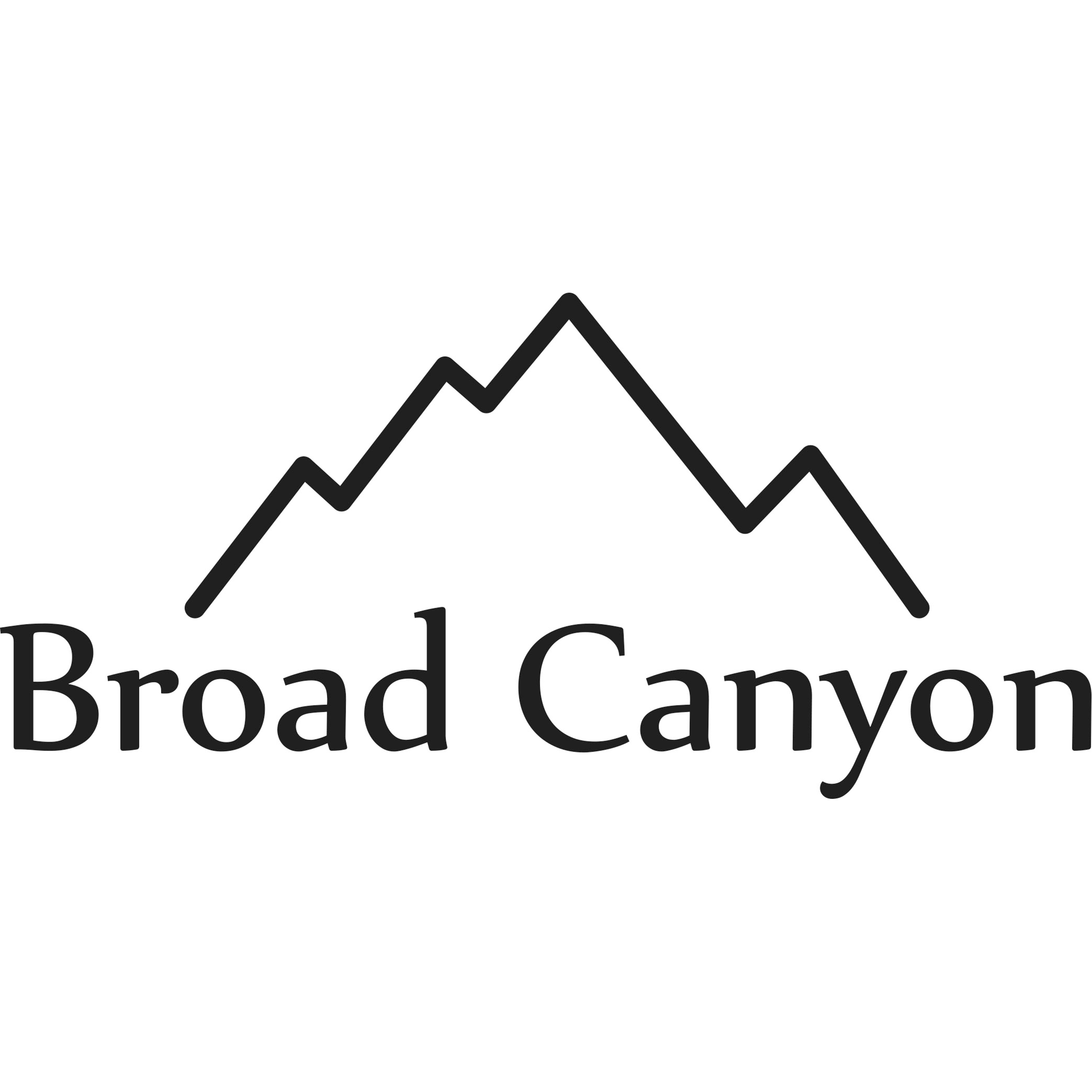 Broad Canyon Customs