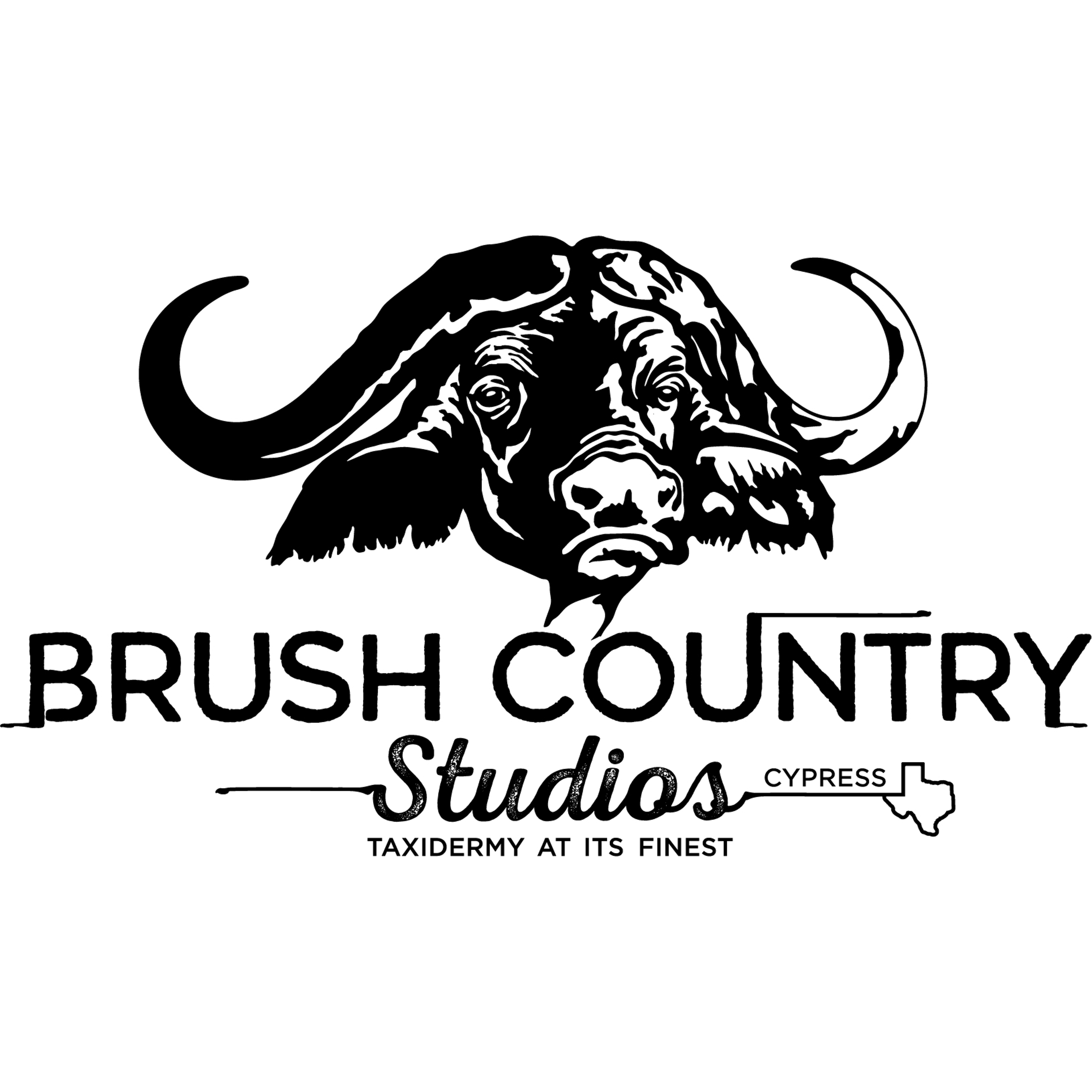 Brush Country Studios