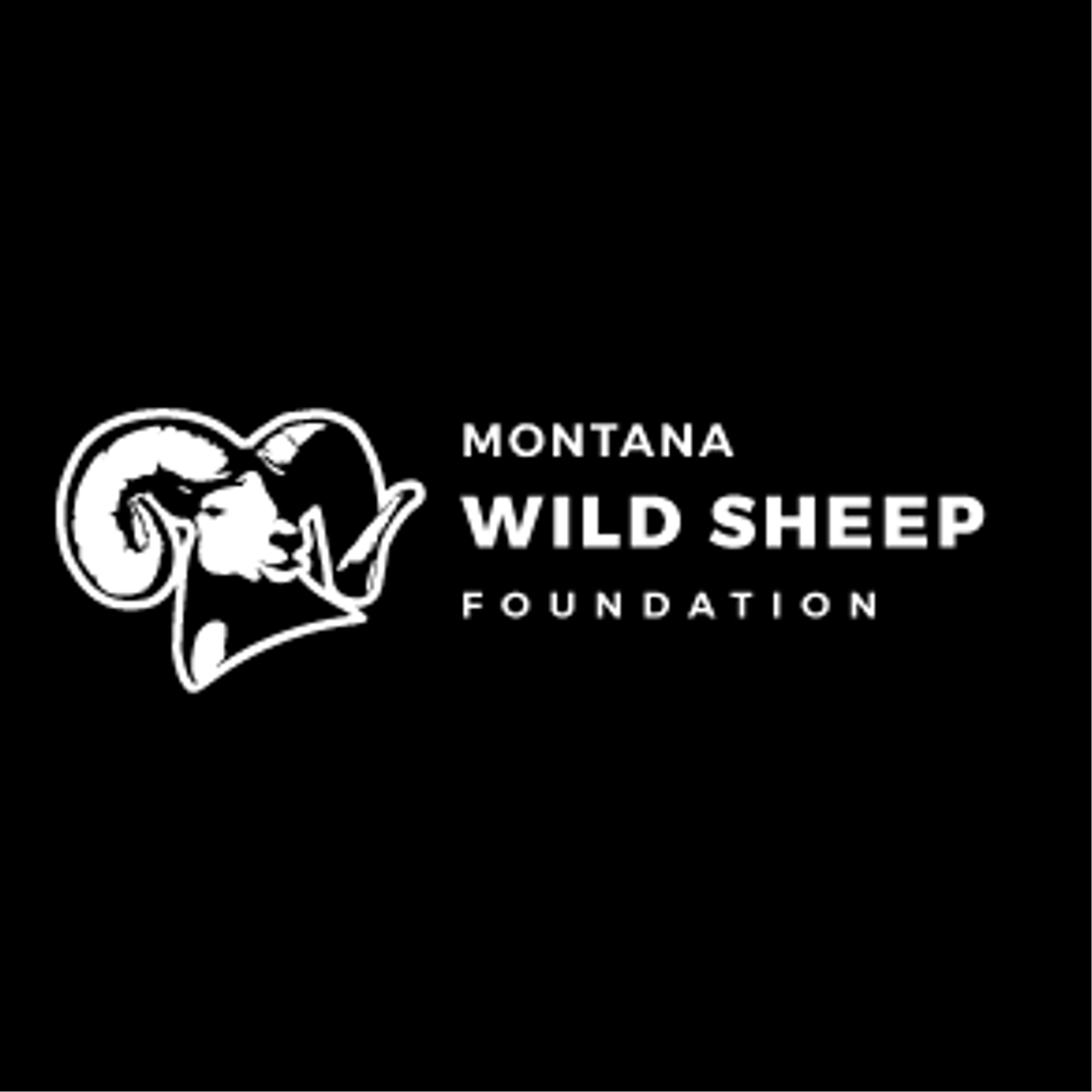 Montana Wild Sheep Foundation