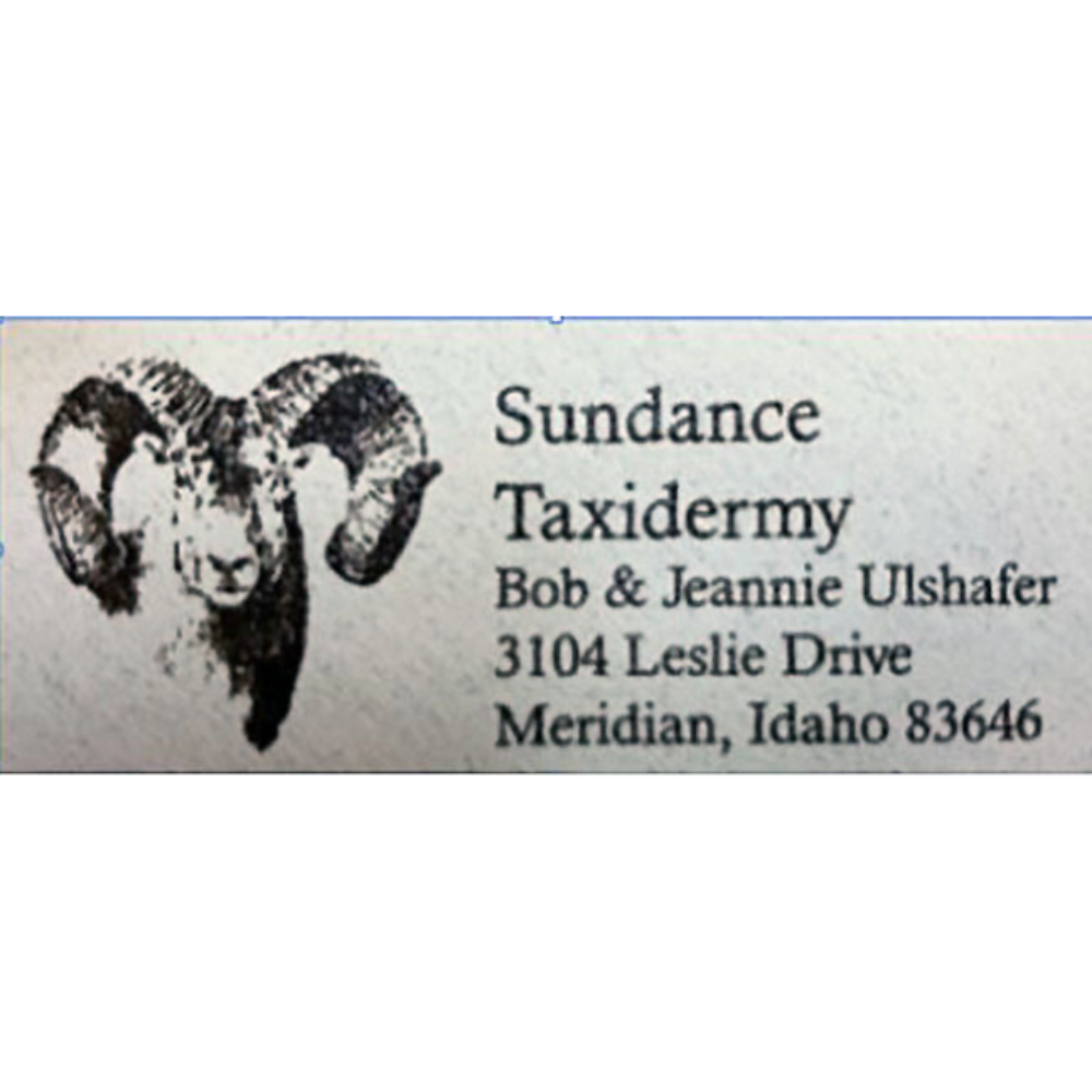 Sundance Taxidermy