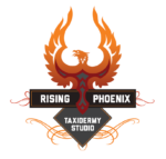 Rising Phoenix Taxidermy